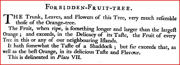 forbiddenfruit1750barbados