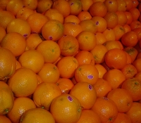 800px-caracaranaveloranges