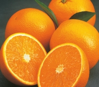 valencia-oranges