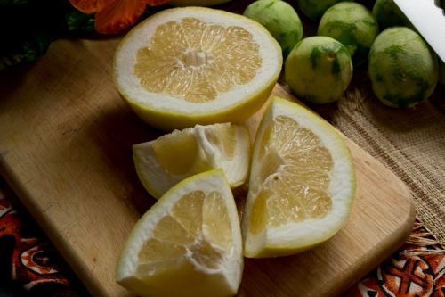 how-to-cut-a-grapefruit-4